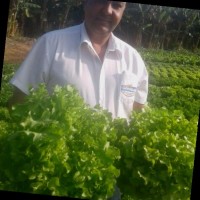GoodBom Supermercados Employee Alexandre Rocha's profile photo