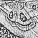 Peerless Fence Employee Jean Jacobs's profile photo