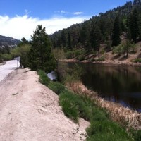 Nobisco Ltd Employee Boo Bagels's profile photo