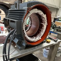 Jasper Electric Motors Employee Tate Rut's profile photo