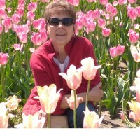 Matlock Electric Co., Inc. Employee Gail Mahlman's profile photo
