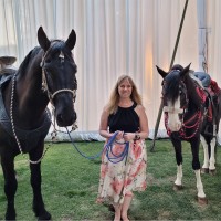 Ann Pliskat Email & Phone Number