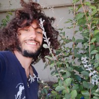 Kinoko-Tech Employee Nathan Taieb's profile photo