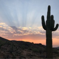 Peter Piper Pizza Employee Lee Rosenthal's profile photo