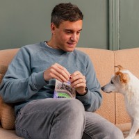 Pooch and Mutt Employee Paul Dennison's profile photo