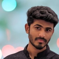 Syed Ameenuddin Email