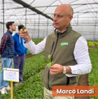 Cora Seeds Srl Employee Marco Landi's profile photo