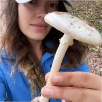 Elizabeth Meadows Email & Phone Number