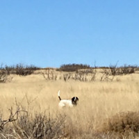 COG Employee Dwain Virden's profile photo