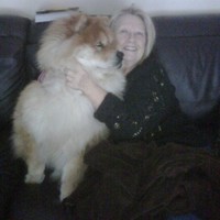 ROCK Development Employee Louise Tullio's profile photo
