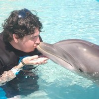 Sony Music Publishing Employee David Hofmann's profile photo