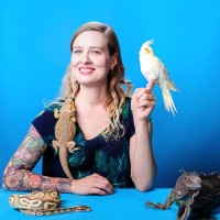 Once in a Wild Employee Amanda Winter's profile photo