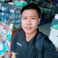 Onepay Employee Kyi Zaw's profile photo