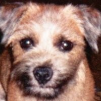 Direct Management Group Employee Steve Jensen's profile photo