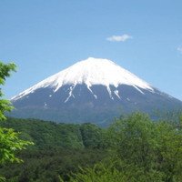 Aptus Health Employee Pascale Girault's profile photo