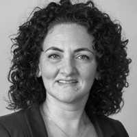 WDM International Employee Diane Delia's profile photo