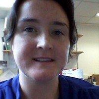 University of Hertfordshire Employee Liz Simon's profile photo