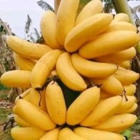 Neem Employee Verah Moraa's profile photo