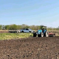 Tessara Employee Sandisile Ndlela's profile photo