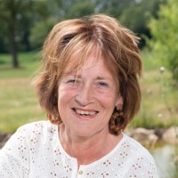 De Startversneller Employee Lous van Haarst's profile photo