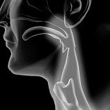 Herald Scholarly Open Access Publishers Employee Peter Brooke's profile photo