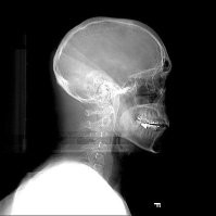 The Nature Conservancy Employee John Wall's profile photo