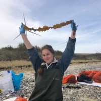 Hortimare Employee Suzan Vellekoop's profile photo
