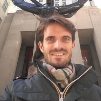 North Sails Apparel Employee Jacopo Berra's profile photo