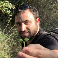 Notch Employee Yuval Raz's profile photo