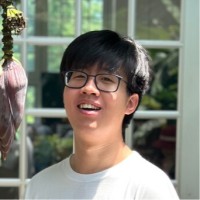 Roe AI Employee Chen Si's profile photo