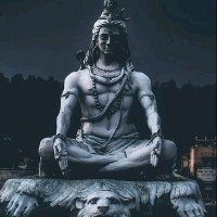 Naresh Reddy Email & Phone Number
