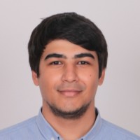 Taha Ateş Email