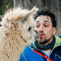 Wilkon e.K. Employee Oliver Weigl's profile photo