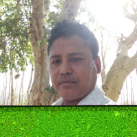 Purna Barua Email