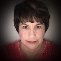 Hitachi Data Systems Employee Terri Casady's profile photo
