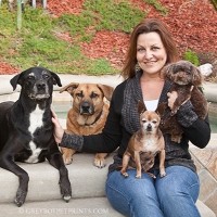 Vanity Fur Mobile Pet Salons Employee Jean Ford's profile photo