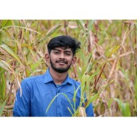 Dinesh M Email