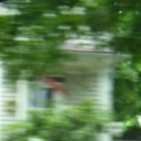 Peter Saul Email & Phone Number