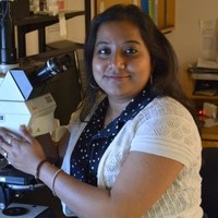 Madhuja Gupta Email & Phone Number