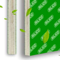 RILICO Employee Kathy Zhou's profile photo
