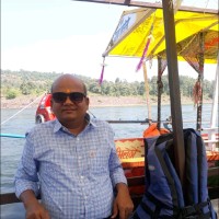 Emirates Logistics India Private Limited Employee Virag Joshi's profile photo