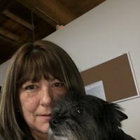Michelle Thibault Email & Phone Number