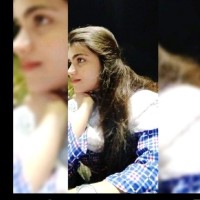 فصیحہ شروانی Email