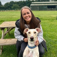 Ashleigh Wright Email & Phone Number