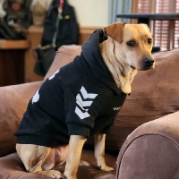 Medtronic Employee Devin Collins's profile photo