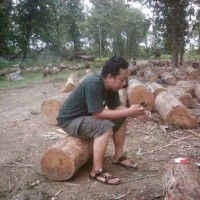 Talenta Java Design Employee Arif Setiawan's profile photo