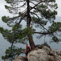 awwwards. Employee Fran Moreno's profile photo