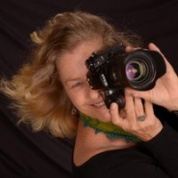 Østfold University College (HiØ) Employee Lisa Desrosiers's profile photo