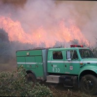 U.S. Forest Service Employee Fred Burger's profile photo