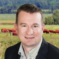 Royal Bank of Canada Employee Dennis Small's profile photo